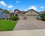 11617 Tetrafin Drive, Riverview image