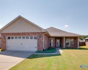 12622 Sw Holstein Lane, Huntsville image