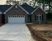 118 SW Freedoms Way, Calhoun image