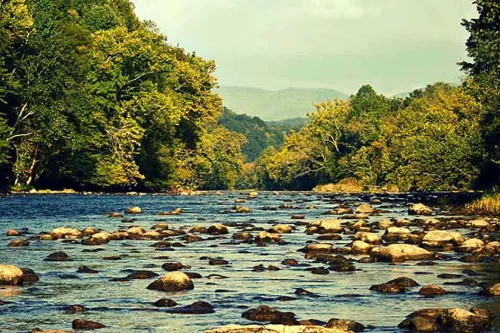 East TN River Properties