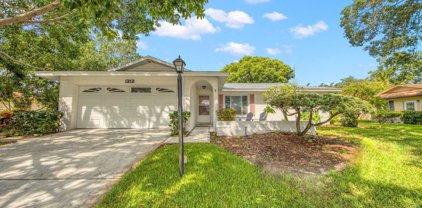 1212 Timberbrooke Drive, Palm Harbor