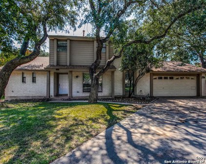 4506 Green Acres Woods St, San Antonio