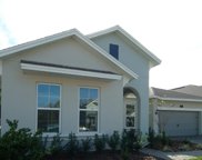 18604 Windroot Place, Orlando image