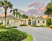 6622 Nature Preserve Court, Naples image