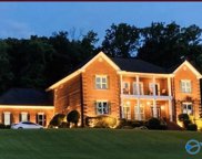 2745 Red Bank Road, Decatur image