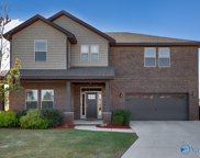 240 Balota Street, Meridianville image
