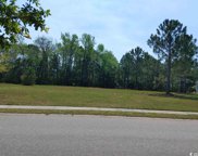 1045 Wigeon Dr., Conway image