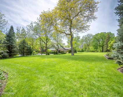 6006 S Grant Street, Burr Ridge