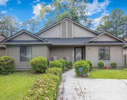 118 Berry Tree Ln., Conway image