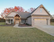 29451 Carnaby Lane, Toney image