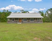 14925 Farm Road, Groveland image