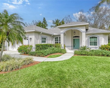 11309 Pine Lilly Place, Lakewood Ranch