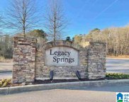 450 Legacy Drive Unit 40, Springville image