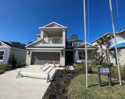2564 Leafwing Court, Palm Harbor image