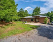 1253 Manchester Drive, Guntersville image