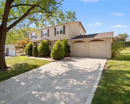 11846 Villa Dorado  Drive, St Louis