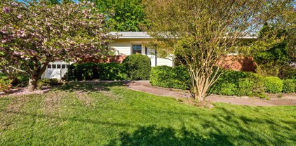 501 Orrin  Se Street SE, Vienna