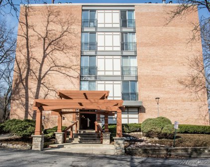 5810 Oakwood Drive Unit #2A, Lisle