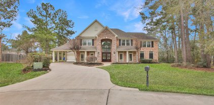 29606 Imperial Creek Drive, Tomball
