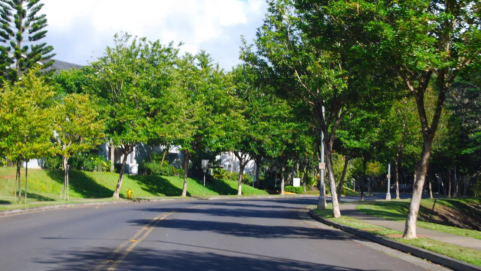 Quiet Mililani residential street lined with mature trees and lawns