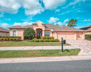 7120 Melogold Circle, Land O' Lakes image
