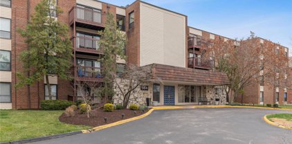 564 Sarah  Lane Unit #203, St Louis