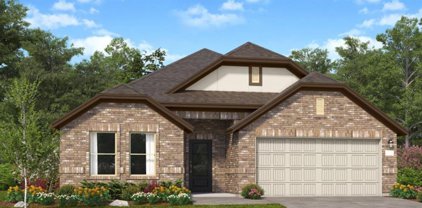 3052 Pampaneria Drive, Conroe