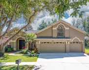 6116 Vireoridge Drive, Lithia image