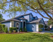 19424 Otter's Wick Way, Land O' Lakes image