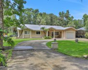 330 S Wild Orange Drive, New Smyrna Beach image