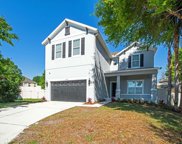 30047 Messara Cove, Mount Dora image
