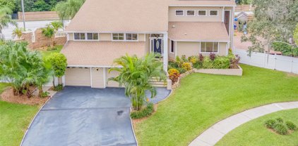 1424 Woodgrove Court, Palm Harbor