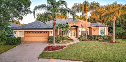 4323 Swift Circle, Valrico