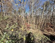 Lot 25 1.32 Acres Maple Spring Court, Pinnacle image