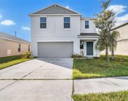 10251 Boggy Moss Drive, Riverview image