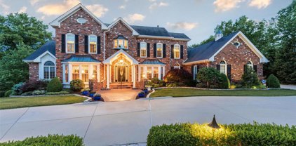 9101 Fox Bridge  Drive, St Louis