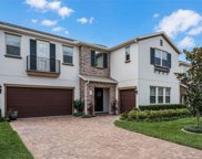 14312 Sunbridge Circle, Winter Garden image