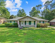 112 Lawson Road, Daphne image