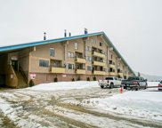 21000 Enzian Way Unit 406B, Agassiz image