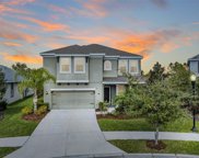 33355 Whisper Pointe Drive, Wesley Chapel image
