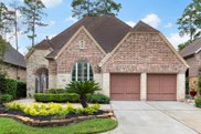 8845 Van Allen Drive, Spring image