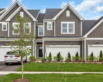 12746 S Nicholas Drive, Plainfield