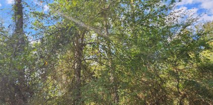 Lot 26 Hackberry Drive, Plantersville