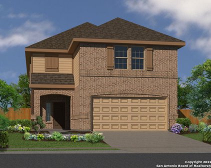 312 Saddle Leaf, Cibolo