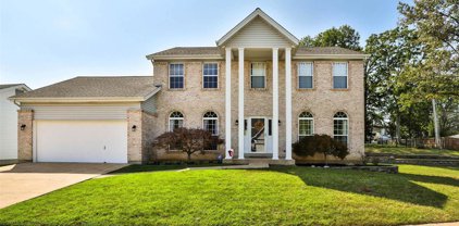 4624 Ambsdale  Court, St Louis