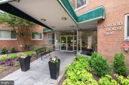 5100 Dorset Ave Unit #504, Chevy Chase image