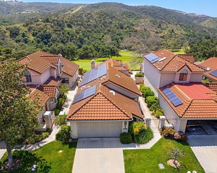 29114 Laurel Valley Drive, Vista
