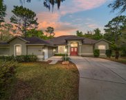 9763 Sw 196th Circle, Dunnellon image
