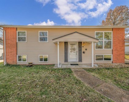 11910 Longmont  Drive, Maryland Heights