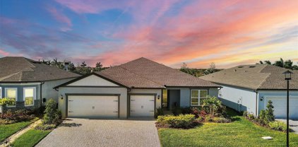 9913 Pier Point Terrace, Parrish